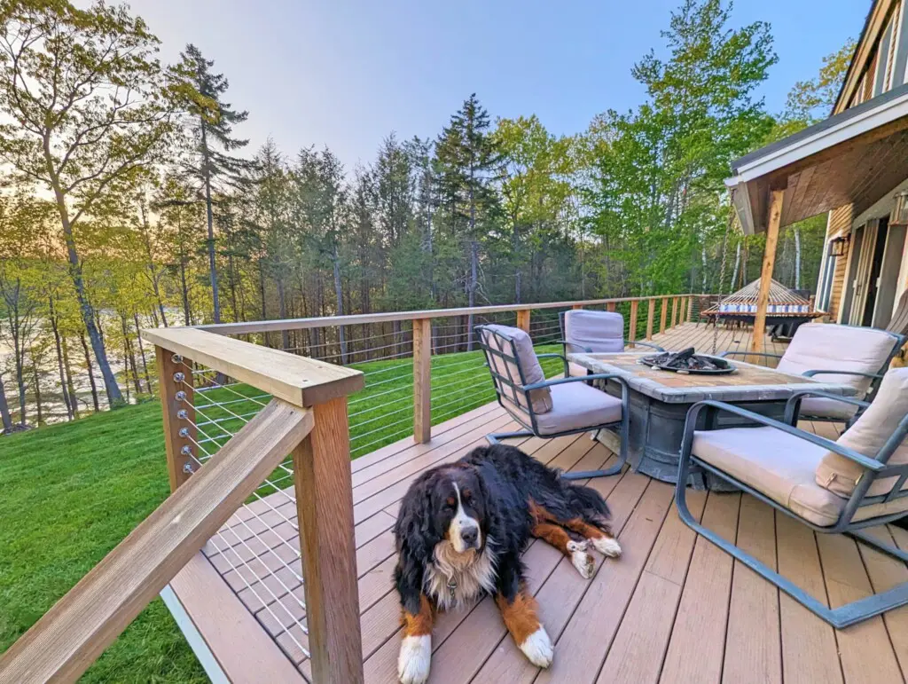 28425990 62d1 4f24 8716 5e26b823e14e.jpg