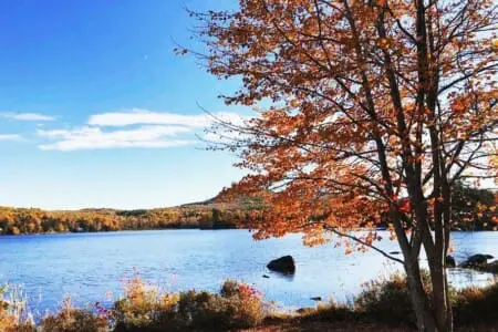 32b6f8a9 50a9 4596 9cc1 67543600ddea.jpg