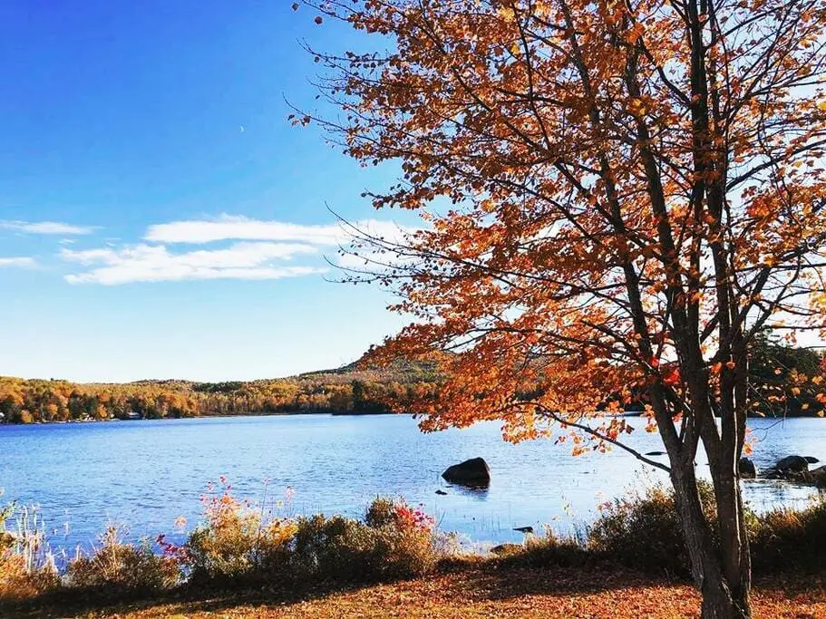 32b6f8a9 50a9 4596 9cc1 67543600ddea.jpg