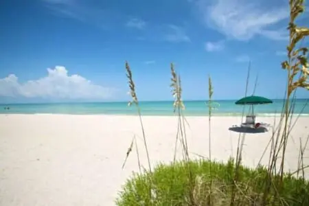 3309c992 e28b 4678 b504 a7994247bd1c.jpg