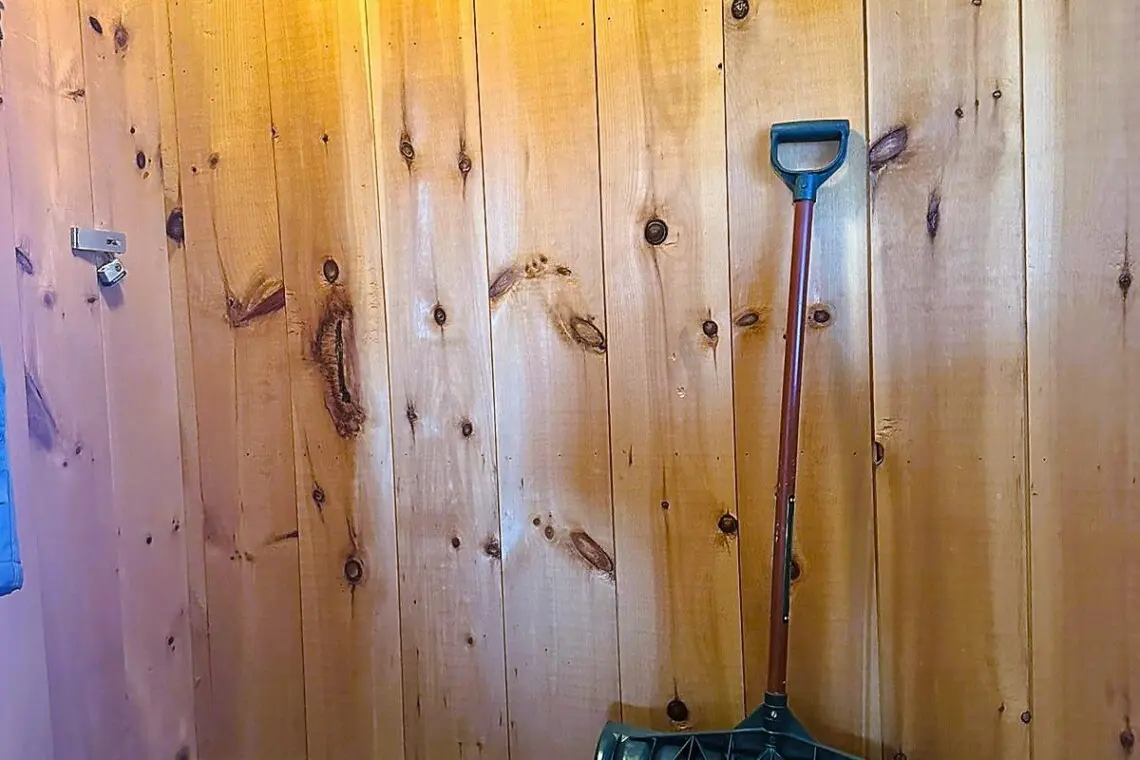 33720e6e d598 4021 bfef c13a629f6891.jpg