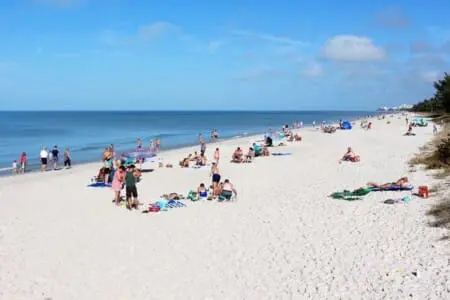 890a64df 55f8 44e0 ab8d 460a2168e985.jpg