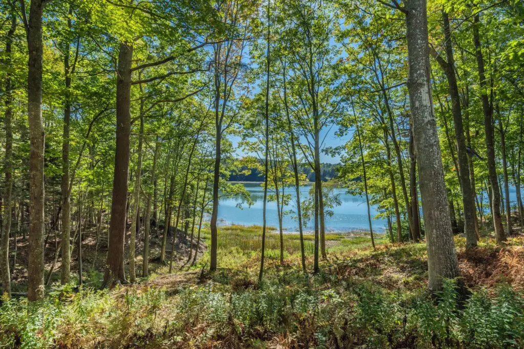 9afc03d0 6bdc 40b0 968c 5110378d858c.jpg