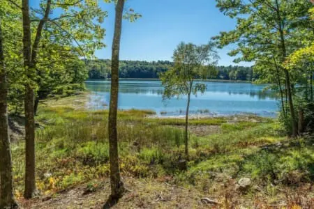 9fe02ac1 c6f1 46f1 818d 3328f16c4770.jpg