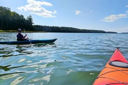 a07286f4 5780 41d7 8330 d830cf1ff86a.jpg