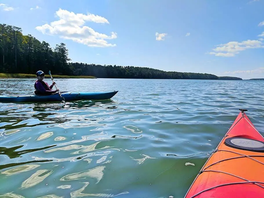 a07286f4 5780 41d7 8330 d830cf1ff86a.jpg