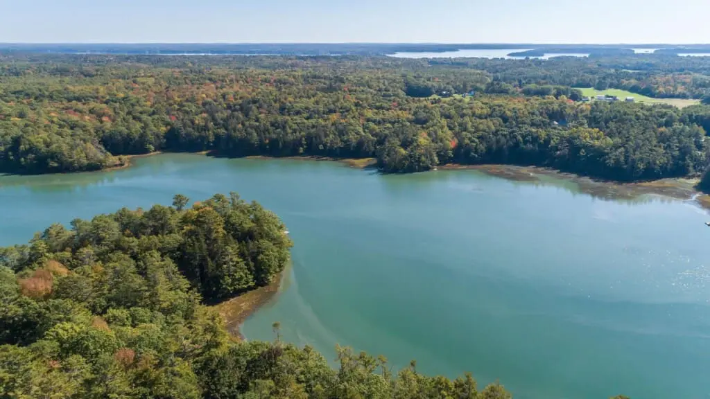 c6e28a50 be23 415c a9b4 36578cde7fbf.jpg