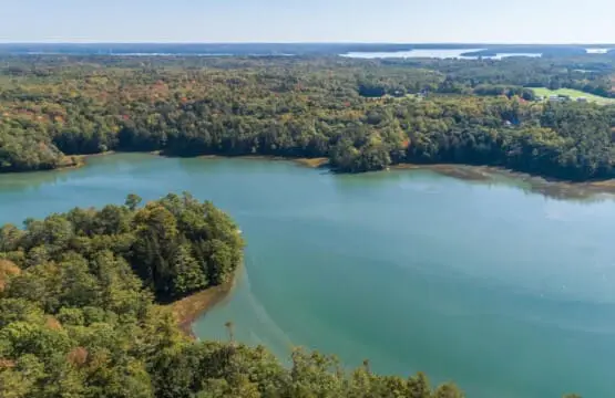 c6e28a50 be23 415c a9b4 36578cde7fbf.jpg