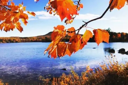 d55d43bc 79ea 4e64 9e80 32465b3590b9.jpg