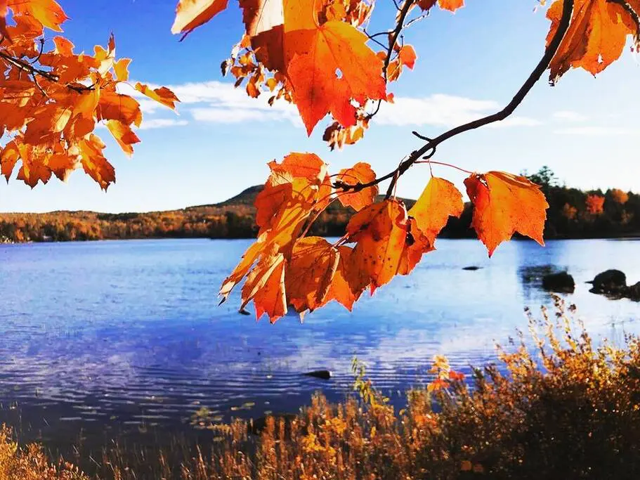 d55d43bc 79ea 4e64 9e80 32465b3590b9.jpg