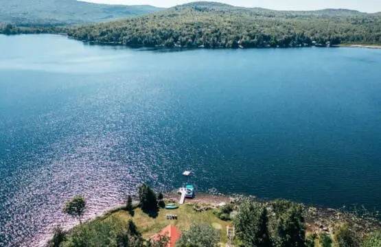 d8389753 7da1 4d08 a3be 619c899e8c1c.jpg