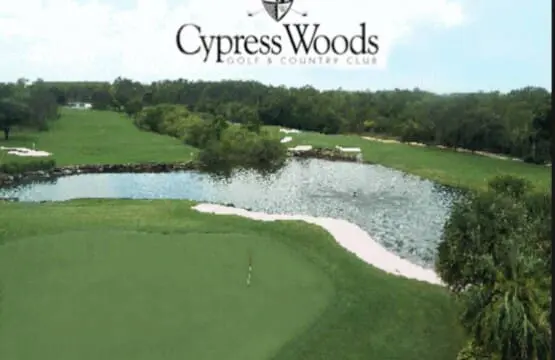 de0955cd d4a8 436c 8f5b 0253438d0fe4.jpg