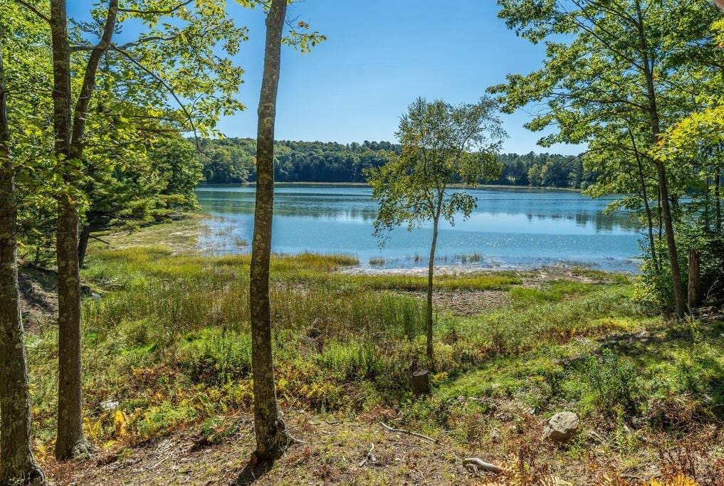 9fe02ac1 c6f1 46f1 818d 3328f16c4770.jpg